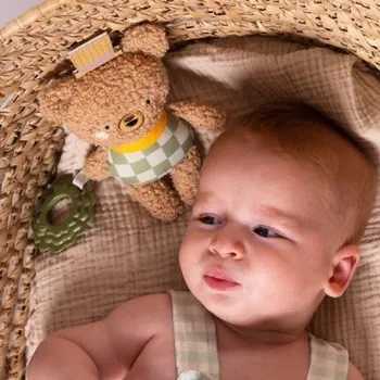 Hračka pro nejmenší Taf Toys Medvídek Brendon