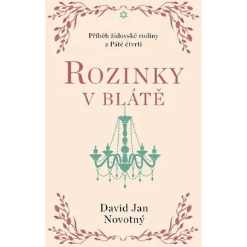 Kniha Rozinky v blátě [E-kniha] - David Jan Novotný