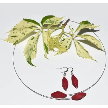 Náhrdelník Dámské šperkové sety leona, náhrdelník a náušnice s tmavě červenými korálky