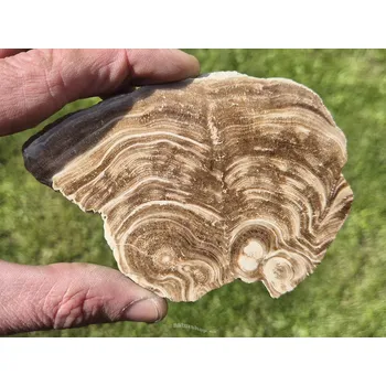 Přírodní kámen Plátek z kalcitu čokoládového 121g