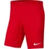NIKE Dri-FIT Park III BV6855-657