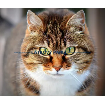 Panel bavlna - KČ-04