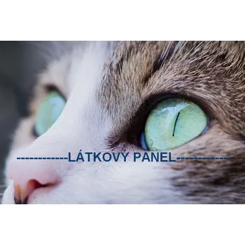 Panel bavlna - KČ-08 Velikost: 30x20cm