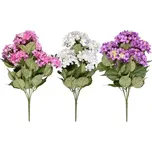 Nohel Garden Hortenzie Léto X7 7 květů…