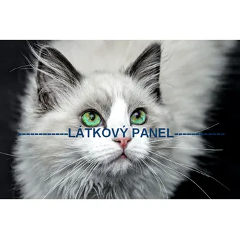 Panel bavlna - KČ-07 Velikost: 30x20cm