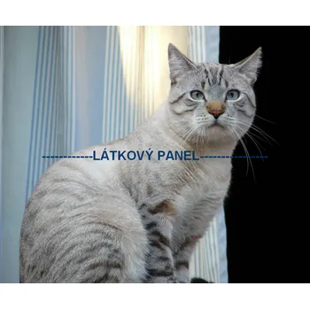 Panel bavlna - KČ-27