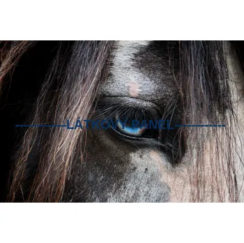 Panel bavlna - KN-33 Velikost: 40x27cm