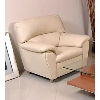 Křeslo ASKONT Rajko Kožené křeslo 1M