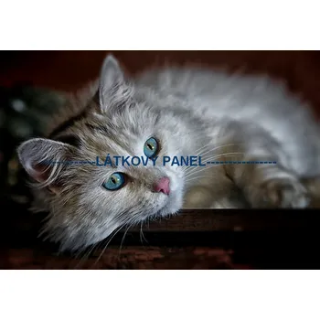 Panel bavlna - KČ-03 Velikost: 30x20cm