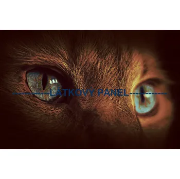 Panel bavlna - KČ-20 Velikost: 30x20cm