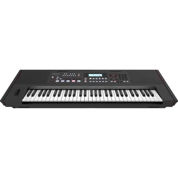Keyboard Roland E-X50