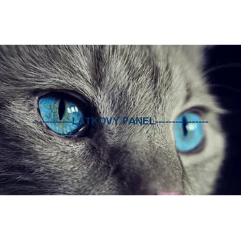 Panel bavlna - KČ-02 Velikost: 20x13cm