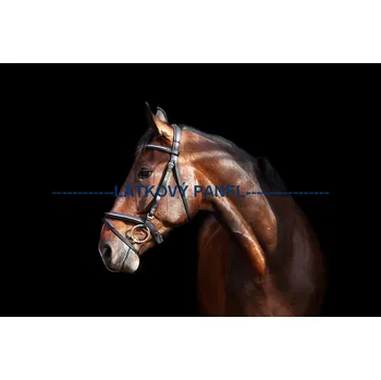 Panel bavlna - KN-04 Velikost: 30x20cm