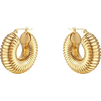 Náušnice Steel Edge Kruhové náušnice z chirurgické oceli WJHE1007GD Průměr mm: 30