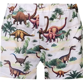 Chlapecké spodní prádlo Dětské Trenýrky FOLTÝN DT126 Velikost: 164