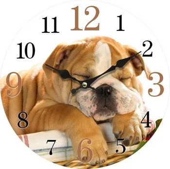 Hodiny Nástěnné hodiny Buldok 1990979