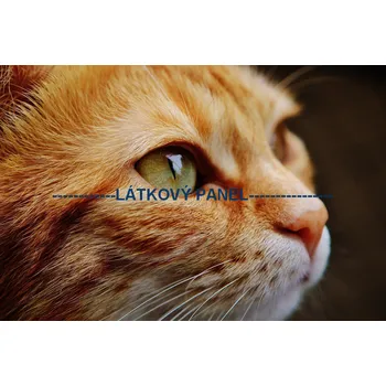 Panel bavlna - KČ-05