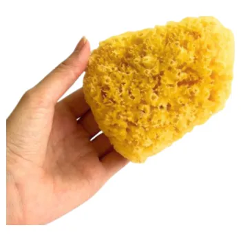 Sprchový gel Přírodní mycí mořská houba na tělo