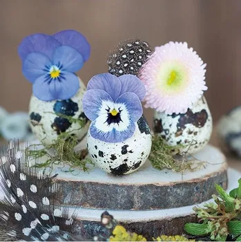 Papírový ubrousek Ubrousky Koroptví vajíčka 3400080