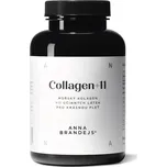 Collagen+11 ANNA BRANDEJS Počet: 2 ks kolagen, klouby, pleť, vlasy, anti-age