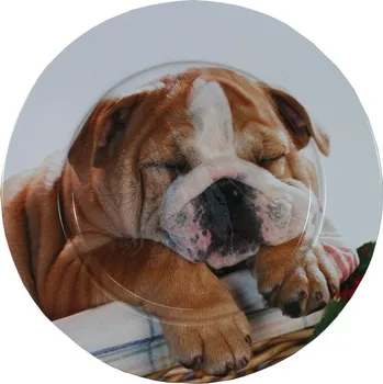 Talíř plechový Spící pes 2000309