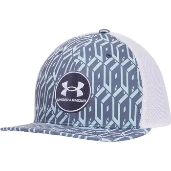 Kšiltovka kšiltovka Under Armour Iso-Chill Drive Low Stretch - Downpour Gray/White S/M