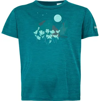 Chlapecké tričko Dětské triko Regatta Alvarado IX Dětská velikost: 110-116 / Barva: modrá