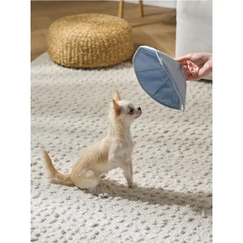 Ochranný límec pro zvířata Sinsay - Ochranný límec pro psa - modrá - 166DY-05X - 166DY-05X-ONE