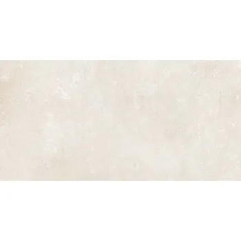 Dlažba Dale Swan - dlaždice rektifikovaná 29,8x59,8 bílošedá DARSR878