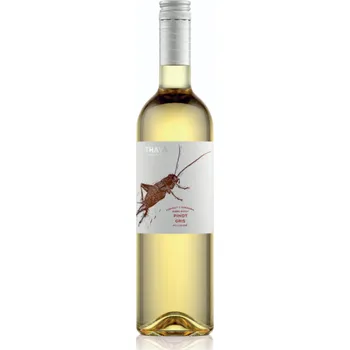 Pinot Gris 2023, pozdní sběr, THAYA, polosuché