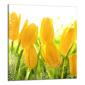 Obraz Obraz na plátně Tulipány , jednodílný 1196AY