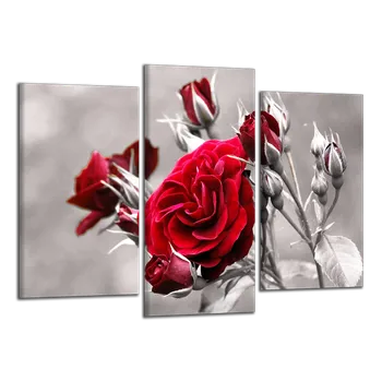 Obraz Obraz na plátně Růže , třídílný 1284CX