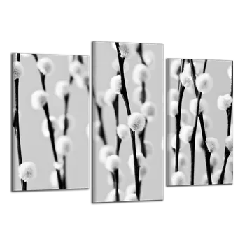 Obraz Obraz na plátně Kočičky , třídílný 1100CX