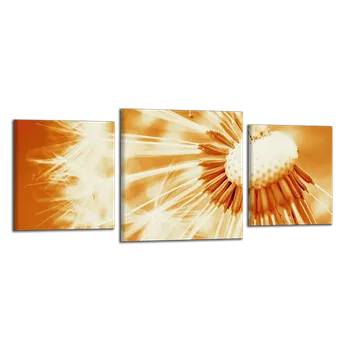 Obraz Obraz na plátně Pampeliška , třídílný 1212CZ