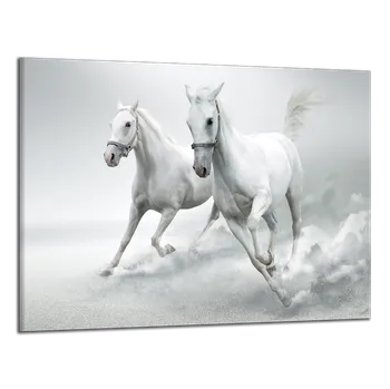 Obraz Obraz na plátně Koně , jednodílný 1143AX