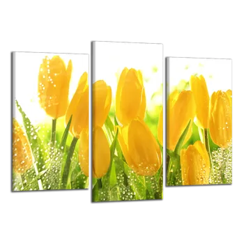 Obraz Obraz na plátně Tulipány , třídílný 1195CX