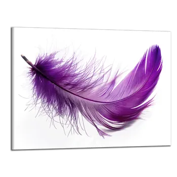 Obraz Obraz na plátně Fialové pírko , jednodílný 4111AX