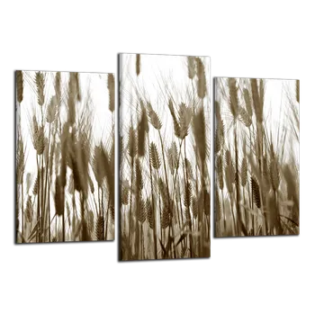 Obraz Obraz na plátně Klasy , třídílný 2744CX