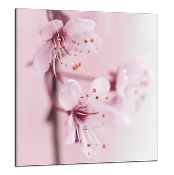 Obraz Obraz na plátně Růžové květy , jednodílný 2812AY