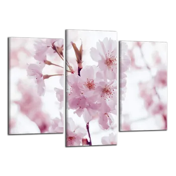 Obraz Obraz na plátně Růžové květy , třídílný 2733CX