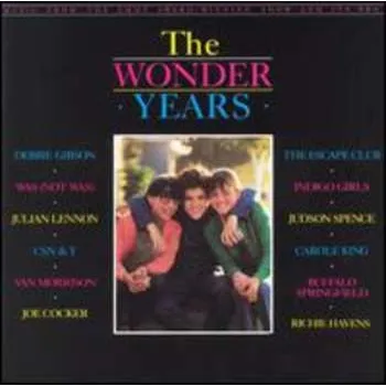 Zahraniční hudba CD Various: The Wonder Years 2017