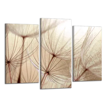 Obraz Obraz na plátně Pampelišky , třídílný 1449CX