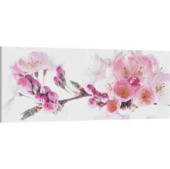 Obraz Obraz na plátně Květová větvička , jednodílný 3075AZ