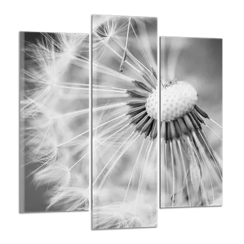 Obraz Obraz na plátně Pampeliška , třídílný 1149CY