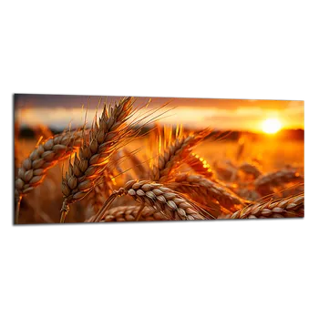 Obraz Obraz na plátně Klasy a západ slunce , jednodílný 3221AZ