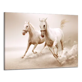 Obraz Obraz na plátně Koně , jednodílný 1473AX