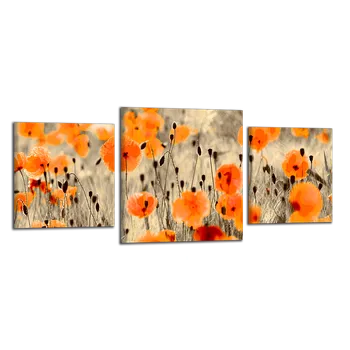Obraz Obraz na plátně Vlčí máky , třídílný 1214CZ