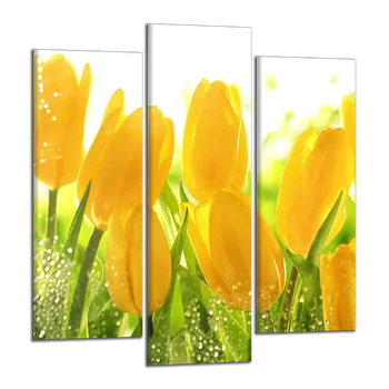 Obraz Obraz na plátně Tulipány , třídílný 1196CY