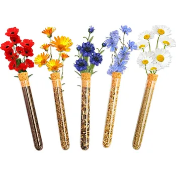 Travní směs Rozkvetlý truhlík + semínka petrželky