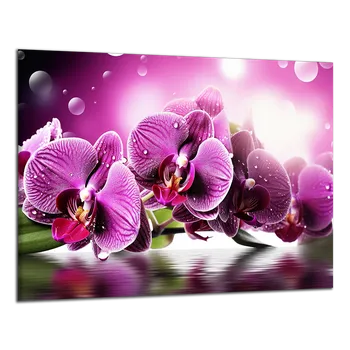 Obraz Obraz na plátně Fialová orchidej , jednodílný 3145AX